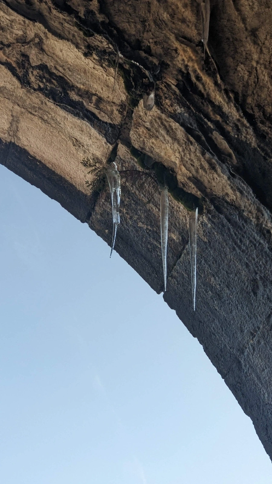 20230130 Ice Stalactites