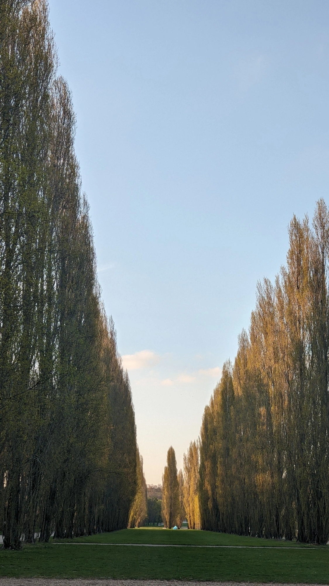 20230408 Parc De Sceaux