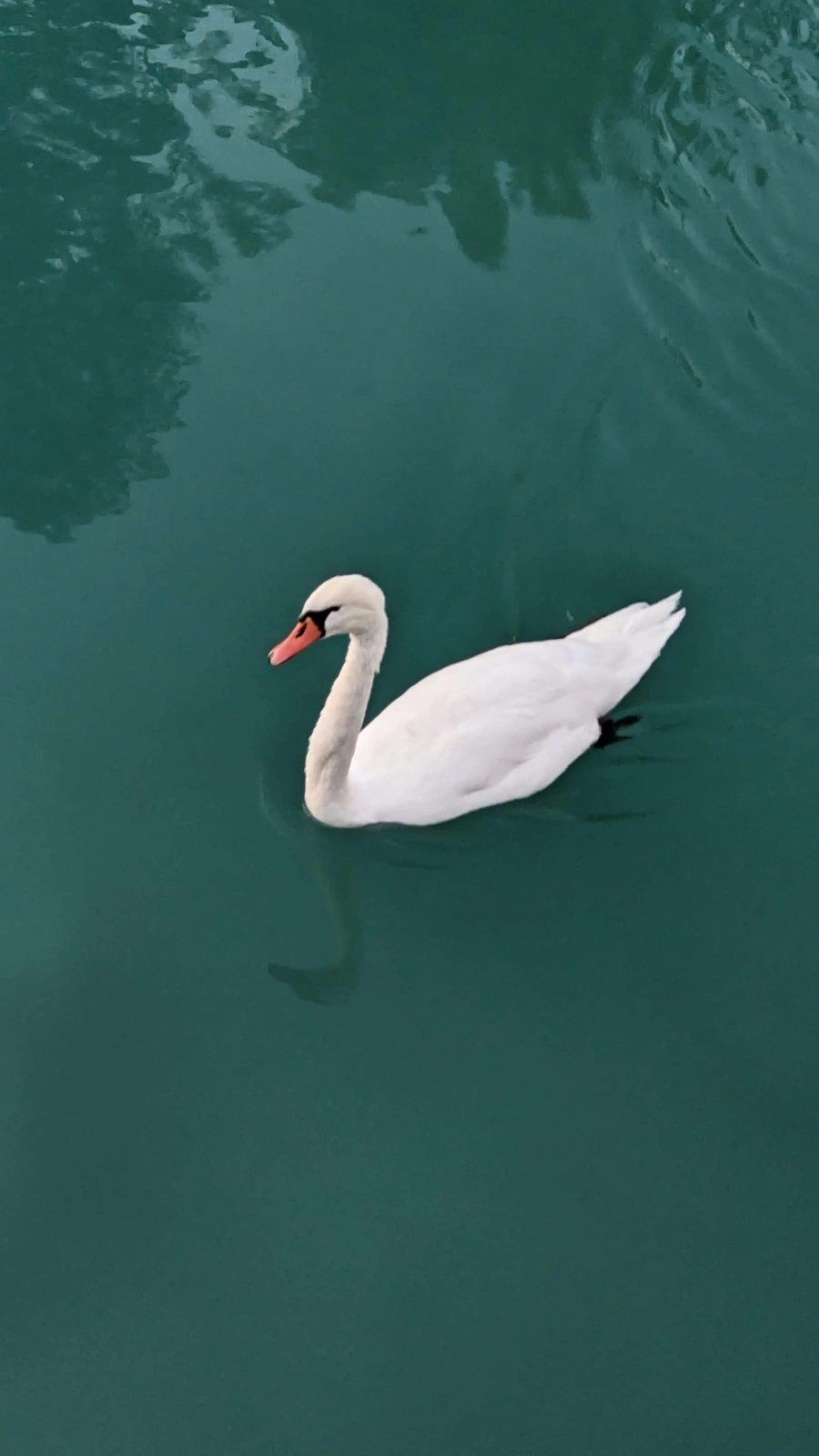 20230905 Lake Annecy