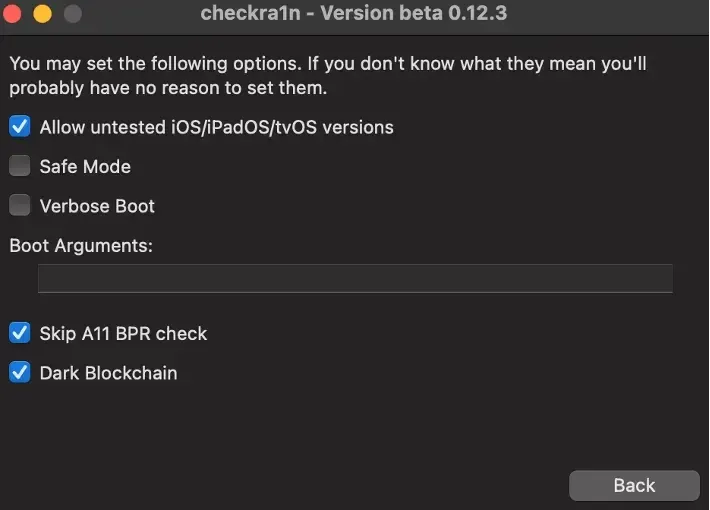checkra1n-config-2